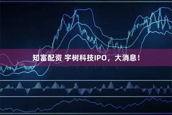 知富配资 宇树科技IPO，大消息！